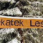 Zakatek Lesny Feriehus *