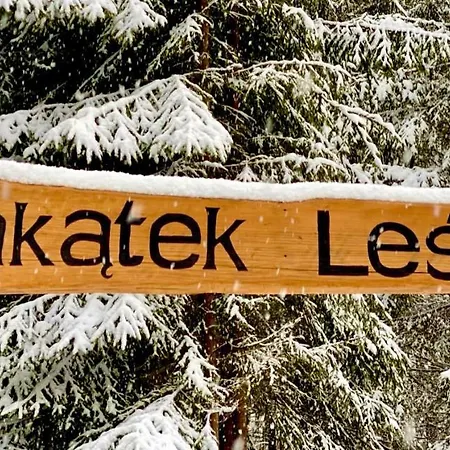 Zakatek Lesny Holiday home *